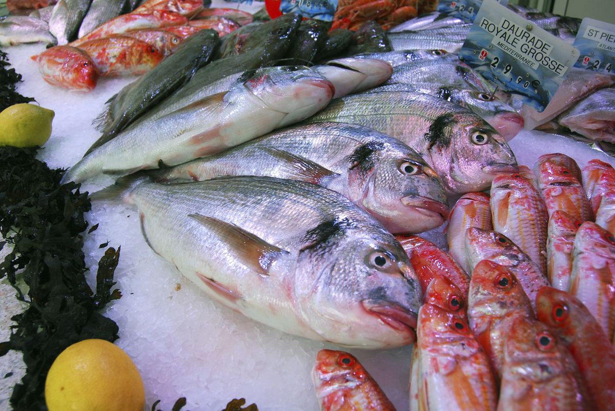 Рыба воняет что делать. Морепродукты аллергены. Аллергенная рыба. Рыбный запах. Аллергия на рыбу и морепродукты.